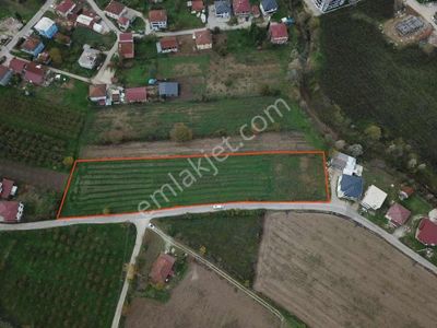 Yön Group'tan Alaağaç'ta 7289m² Satılık Arsa
