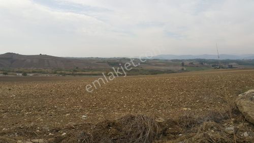 3ev Emlak'tan Irmak Kenarı Sulu Kiralık Arazi