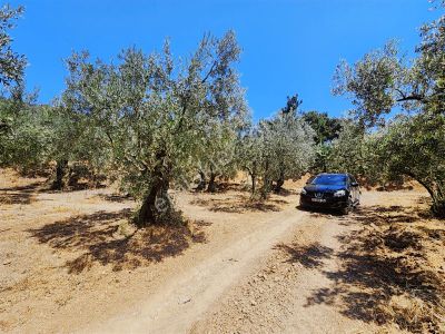 Kayalardan Gündoğduda Mükemmel Fiyata Müstakil (3 Tapu) Arazi