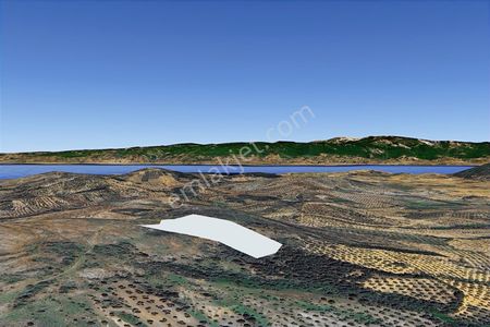 Rw Nefes'ten Burhaniye Kuyualan Mevkiinde Acil Satılık Zeytinlik