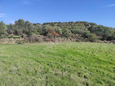 Uzun Gayrimenkul&emlak 'tan Karakılınçlı'da 17 Dönüm Tarla