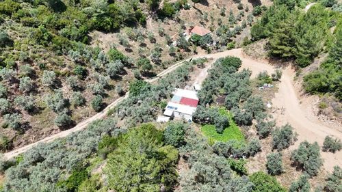 Novas Gayrimenkul'den Armutlu'da Satılık Tek Tapu Arazi