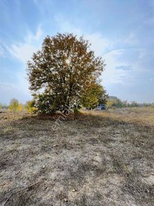 "anka Gayrimenkul'den Eymir Mah Satılık 831 M2 Hobi Bahçesi"