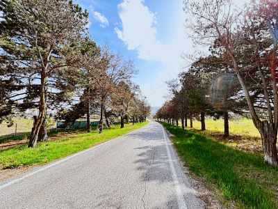 Aşağıçavundur'da 12.163 M2 Asfalt Yola 120 M Cephe Satılık Tarla