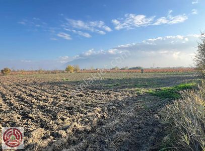 Emir Grup'tan Evronos'ta Satılık Kadastrol Yol Cepheli Tarla