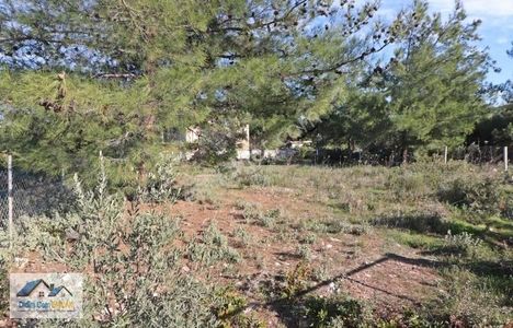 Didim Cem Emlak Tan Seyrantepe De Satılık 628 M2 Arsa