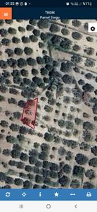 Manisa Akhisar Bünyamin Osmaniye Satılık Zeytinlik