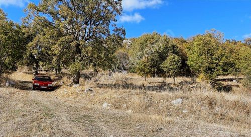 Hega Güvencesiyle Balıkesir Kepsut Bükdere'de Satılık Tarla