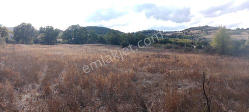 İvrindi Çukurlarda Yol Cepheli 5323 M² Verimli Tarla