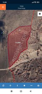 Güdül Boyalı Mahallesinde Satılık Meyve Bahçesi