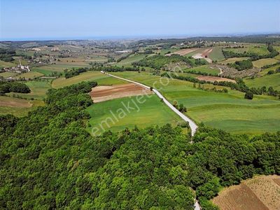 Edis Emlak'tan Satılık Tektapu 57 Dönüm Emsalsiz Tarla