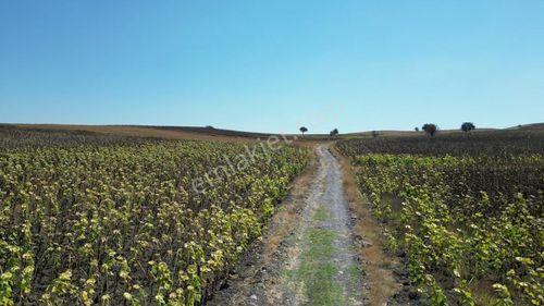 Onvestten Balıkesir Kamçılı'da 9.472 M² Satılık Tarla