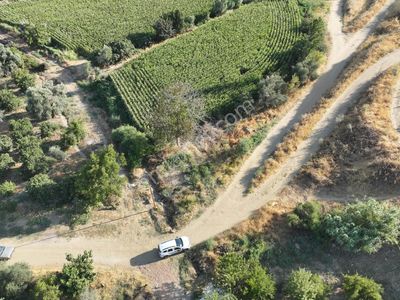 Majestic Manors - İsabeylide 125 M² Köşe Konumda Bahçe