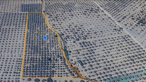 Dereköy Güzel Konumda Yolu Ve Suyu Olan 13.800 M2 Trilye Bahçesi