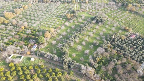 Huzur İçinde Sonsuzluğa Yürüme Fırsatı Sunan 13.795 M2 Tarla