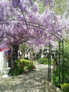 Edirne Karaağaçta Hazır Kurulu Restaurant&cafe