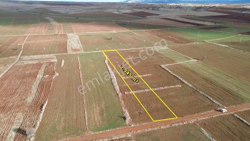 Akören Hacılar Da 2.945 M2 Müstakil Tapulu Arazi