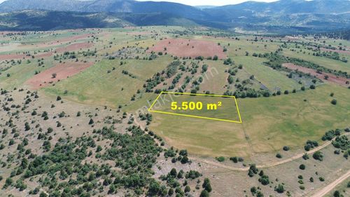 Konya / Ilgın / Mahmuthisar Mahallesinde 5.500 M² Müstakil Tapulu Tarla