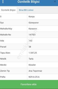 Güneysınır Karasınir Satılık Tarla