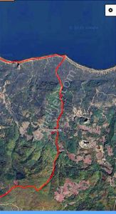 Dialog Prestij İznik Müsküle 5.857 M² Yatırımlık Zeytinlik