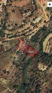 Manavgat Hacıisali Satılık Tek Tapu Tarla