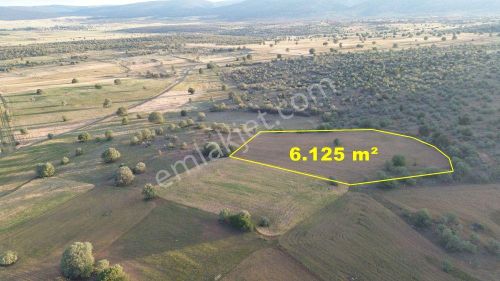 Konya / Akören / Hacılar Mahallesinde 6.125 M² Müstakil Tapulu Tarla