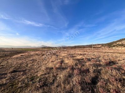Fırsat !! Güneykentte Konum Olarak Harika Satılık 2 Adet Arsa !!
