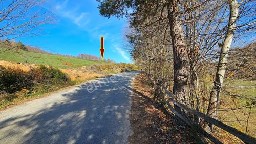 Acara'dan/iznik Kutluca'da Asfalta Cephe / 423m² Villalık Arsa