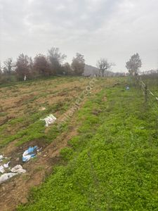 Balcity - Balıkesir İvrindi Çukurlar’da Köy İçi Satılık Arsa