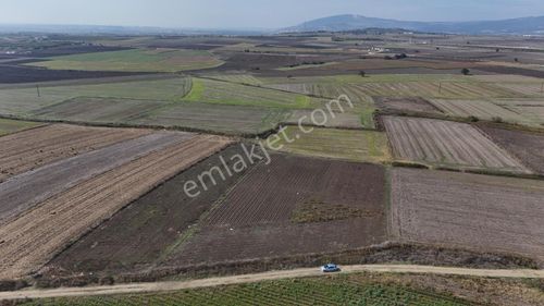 Expert'ten Karacabey Seyran'da Satılık 6400 M² Tarla
