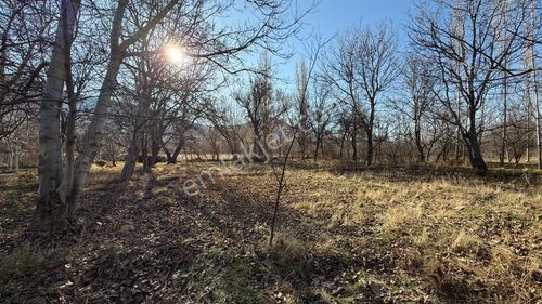 Öz Gaye Emlaktan Develi Aşağıeverek Mahallesinde Satılık Bahçe