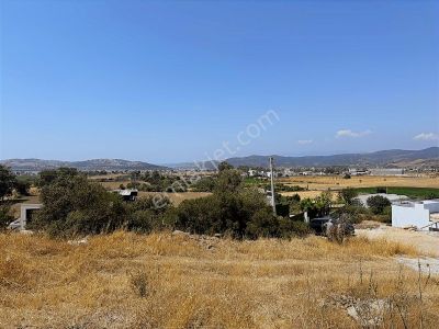 Milas Meşelikte Göl Manzaralı Satılık Arsa