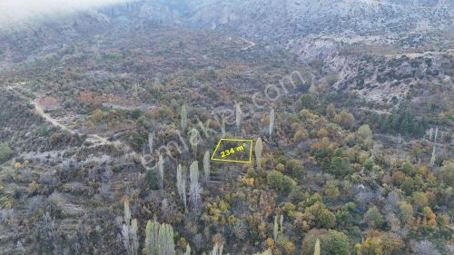 Karaman / Ermenek / Elmayurdu Mahallesinde 234 M² Müstakil Tapulu Bahçe