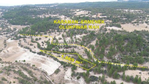 Karaman / Ermenek / Olukpınar Mahallesinde 1.869 M² Müstakil Tarla