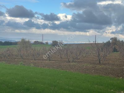 1915 Çanakkale Köprüsü Manzaralı Tarla Acil Satılık Fırsat!!