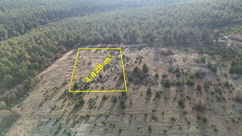 Konya / Doğanhisar / Ayaspaşa Mahallesinde 4.828 M² Müstakil Tapulu Tarla