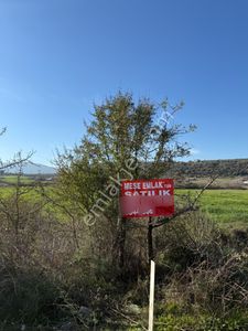 Menderes Değirmenderede Satılık Hisse Tapu Tarla