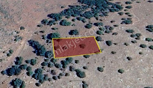 Konya / Güneysınır / Gürağaç Mahallesinde 1.310 M² Müstakil Tapulu Tarla