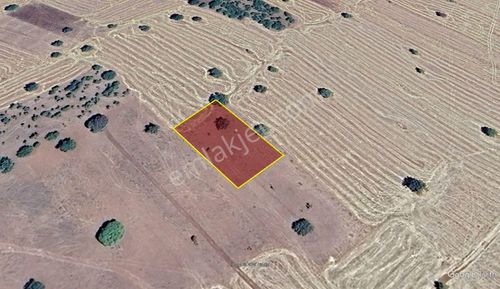 Konya / Güneysınır / Kızılöz Mahallesinde 1.423 M² Müstakil Tapulu Tarla