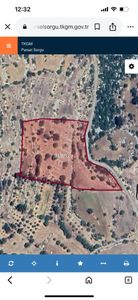 Baykara'dan Silifke Çadırlı 8694m2 Satılık Tarla