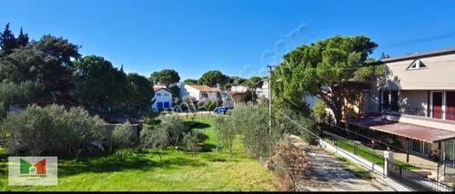 Şakran'ın En Güzel Yerinde Denize 50 Metre Zeytinlikler İçinde.