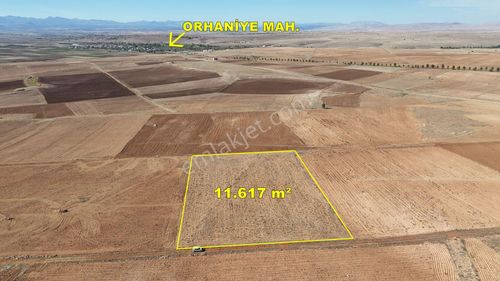 Konya / Akören / Orhaniye Mahallesinde 11.617 M² Müstakil Tarla