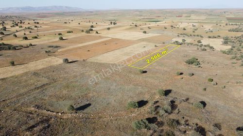 Konya / Akören / Hacılar Mahallesinde 2.566 M² Müstakil Tapulu Tarla