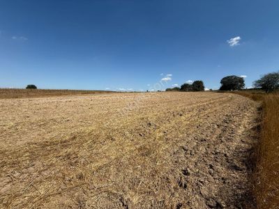 Akyüz Gayrımenkul Den; Kızılpınar Da 6,395 Mt2 Satılık Tek Tapu Tarla