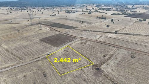 Konya / Akören / Tülce Mahallesinde 2.442 M² Müstakil Tapulu Tarla