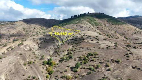 Sinop / Durağan / Yemişen Mahallesinde 10.143 M² Müstakil Tapulu Arazi