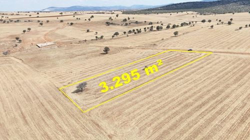 Konya / Akören / Karahüyük Mahallesinde 3.295 M² Müstakil Tapulu Tarla