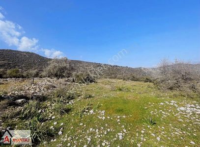 Muğla/seydikemer İzzetin Mah 5914 M2 Satılık Tarla!