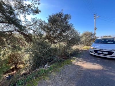 Öz-er Gayrimenkul’den | Caddeye Sıfır, Köy İçinde Manzaralı Tarla