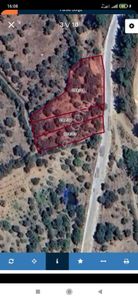 Bayındır Sarıyurt Mevkiinde Yol Kenarında Zeytinlik